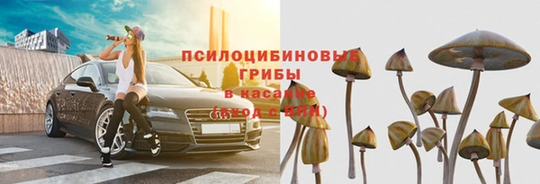 наркотики Белокуриха