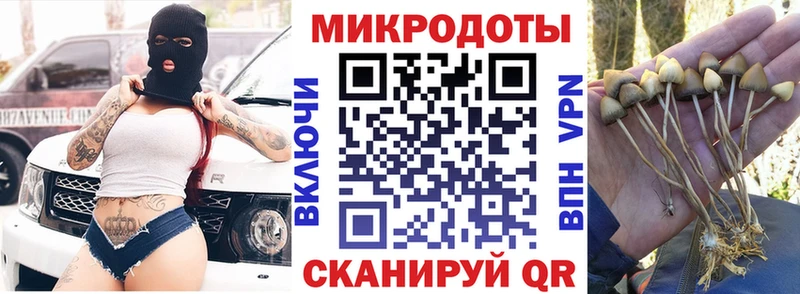 Псилоцибиновые грибы мицелий  kraken ССЫЛКА  Пионерский 